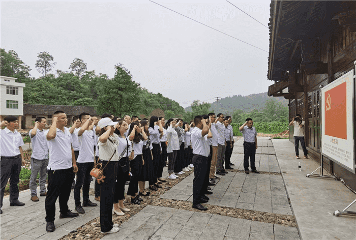 公司開(kāi)展“支部聯(lián)建謀奮進(jìn)，產(chǎn)業(yè)互鑒促發(fā)展”主題黨日活動(dòng)